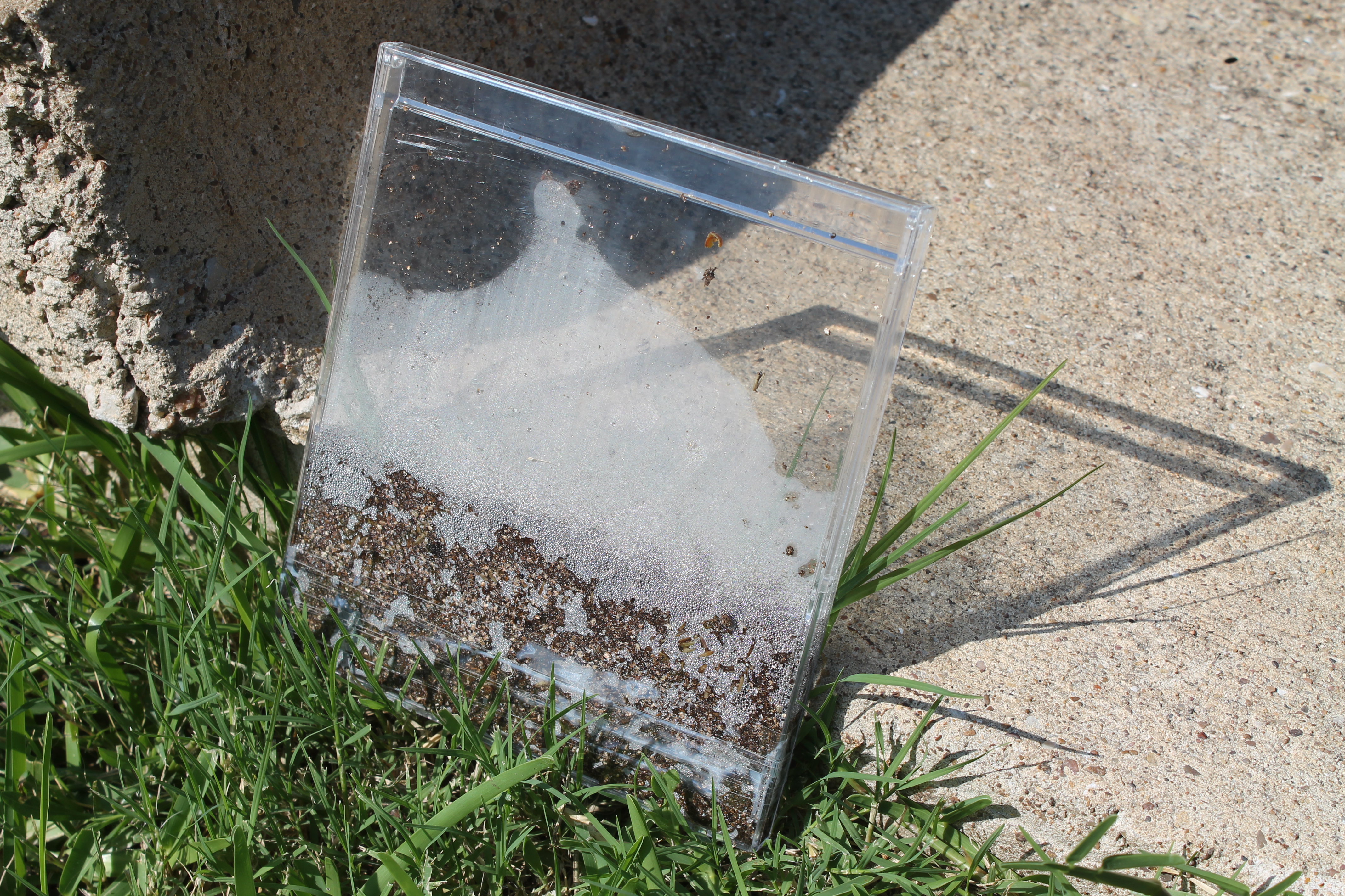 Junior Master Gardener SeeD Case