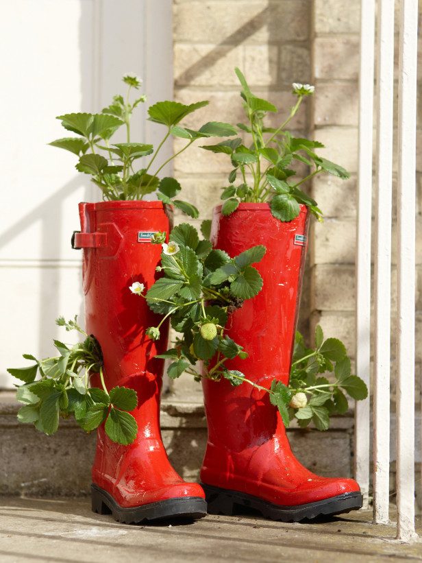Rain Boots