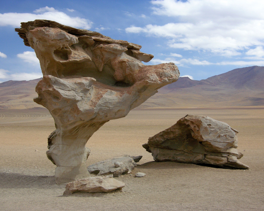 Wind Erosion Making History – Junior Master Gardener