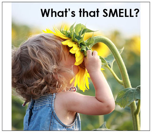 smelling women's shoes at work