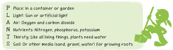 Teacher Leader Guide Chapter 1 Resources Junior Master Gardener
