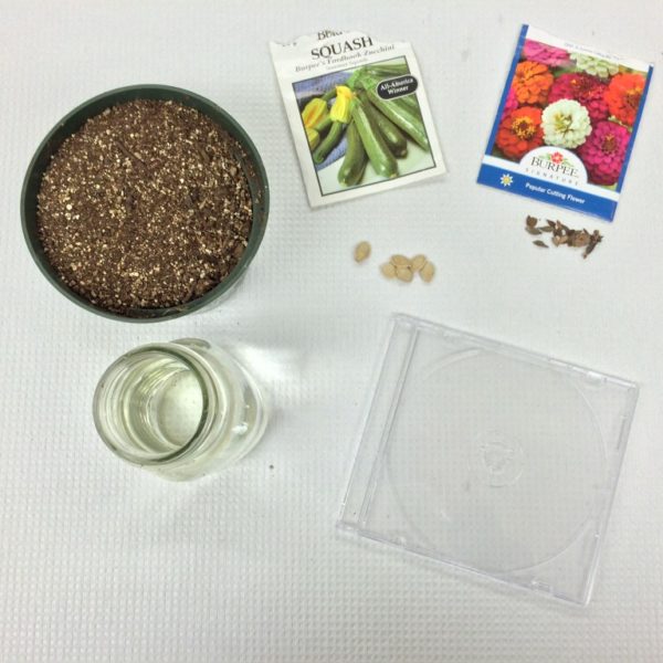 SeeD Case Junior Master Gardener