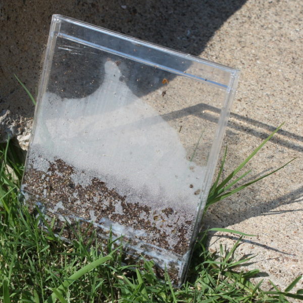 SeeD Case Junior Master Gardener