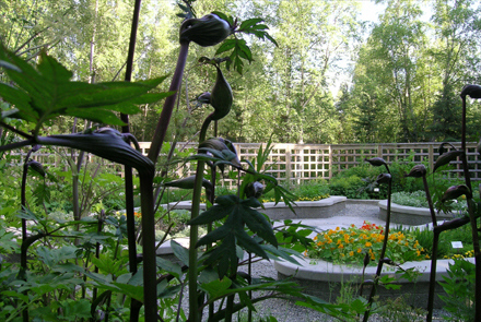 alaska botantical garden