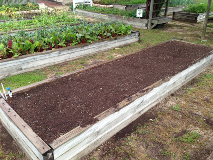 Solarizing Your Garden for the Summer – Junior Master Gardener