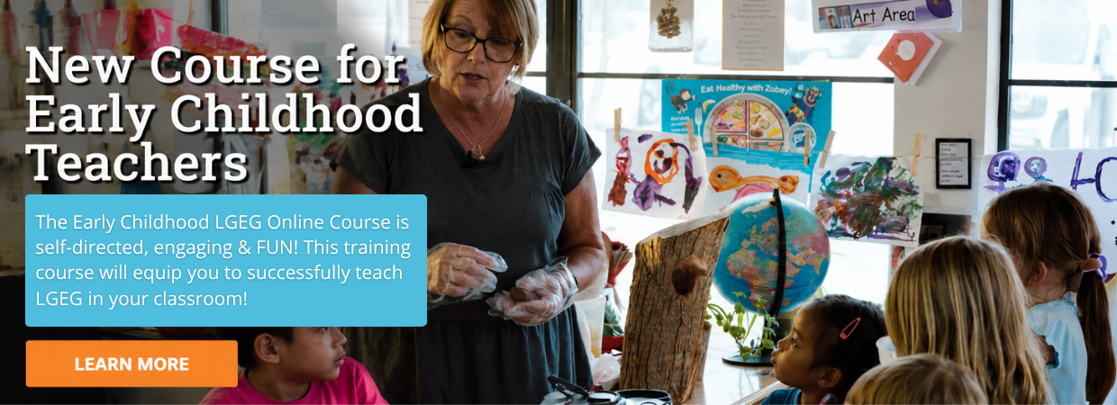learn about early childhood virtual training course by clicking here