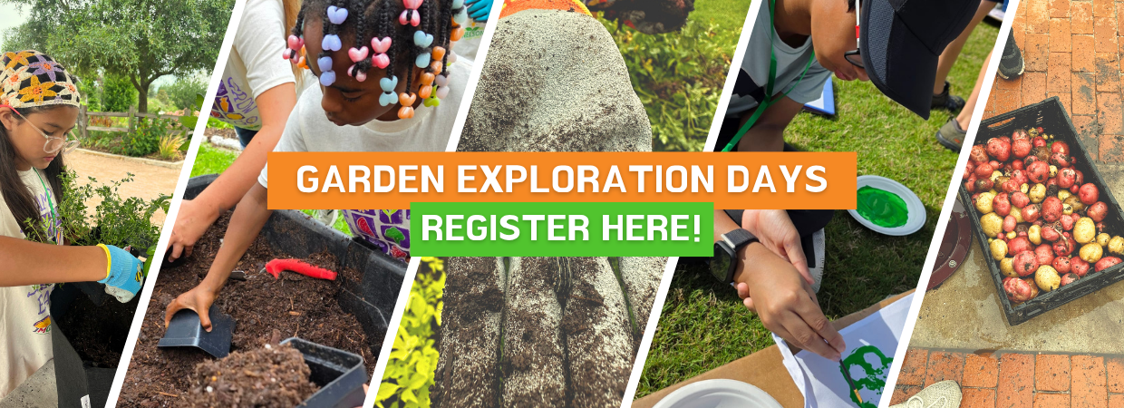 Garden Exploration Days, register here